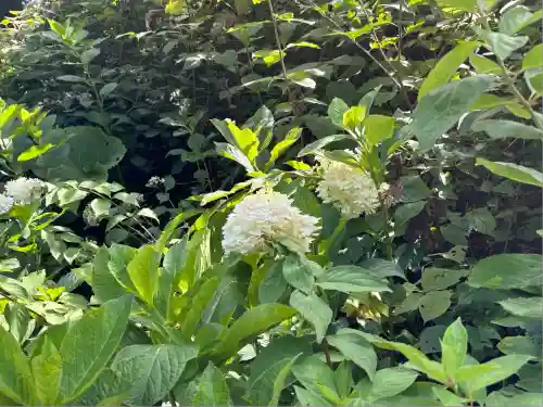 瑞雲院(山形県)