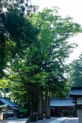 雄山神社前立社壇(富山県)