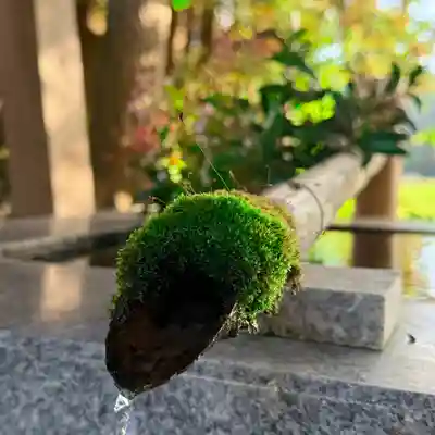 高司神社〜むすびの神の鎮まる社〜(福島県)