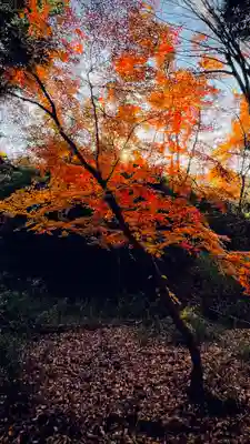 浄居寺(山梨県)