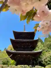 園城寺（三井寺）の建物その他