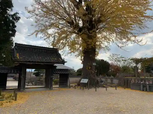 天徳寺(山口県)
