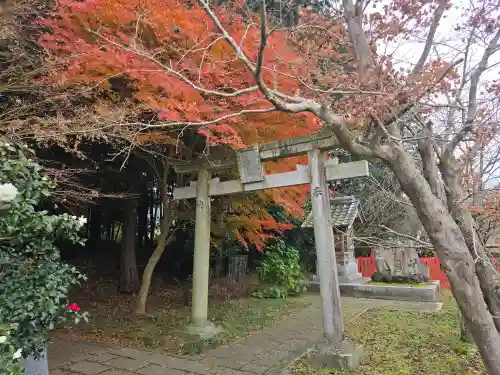 稗田野神社(薭田野神社)(京都府)