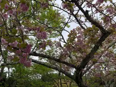 南院(和歌山県)