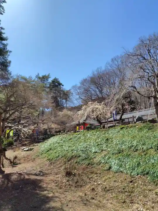 不動寺(埼玉県)