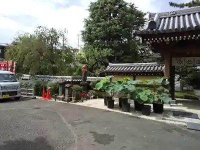 玄国寺のその他建物