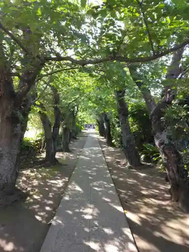 極楽寺（霊鷲山感應院極楽律寺）の景色