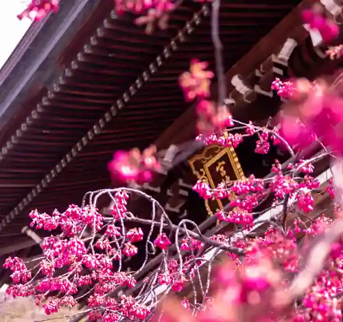 宮地嶽神社(福岡県)