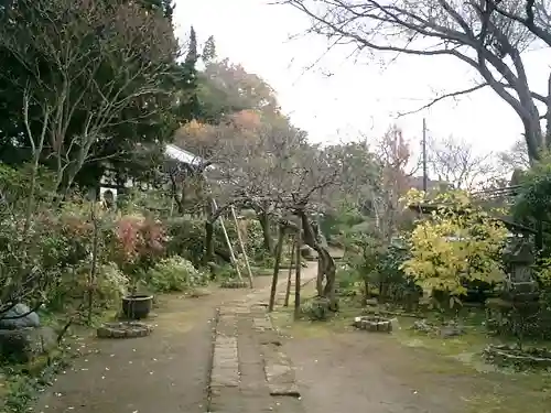 円覚寺の庭園