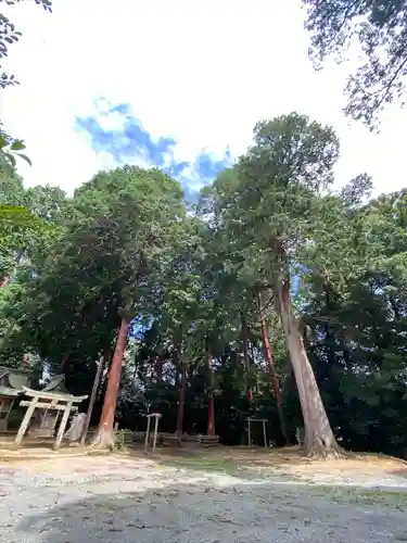 吉川八幡宮(岡山県)