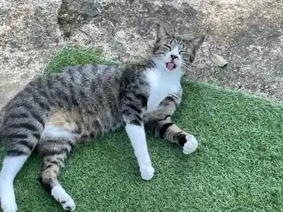 王子神社(徳島県)