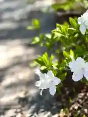 長光寺(長野県)