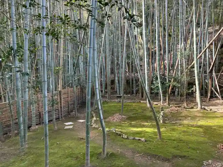 滝口寺の{uncategorized: "未分類", other: "その他", undefined: "問題あり", building: "その他建物", grave: "お墓", sacred_gate: "鳥居", guardian: "狛犬", statue: "像", buddha: "仏像", history: "歴史", nature: "自然", garden: "庭園", animal: "動物", pagoda: "塔", temizu: "手水舎", mountain_gate: "山門・神門", sanctuary: "本殿・本堂", subordinate: "末社・摂社", art: "芸術", scenery: "景色", jizo: "地蔵", ema: "絵馬", goshuin: "御朱印", omikuji: "おみくじ", items: "授与品その他", amulet: "お守り", goshuincho: "御朱印帳", eats: "食事", festival: "お祭り", votive_dance: "神楽", shichigosan: "七五三参", wedding: "結婚式", experience: "体験その他", initially: "初詣", around: "周辺", anti_infection: "感染症対策"}