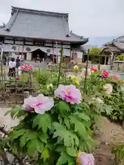 本覚寺の本殿