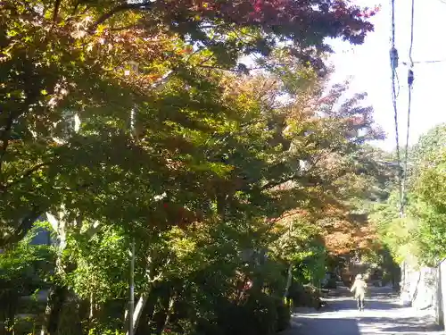 海蔵寺のその他建物