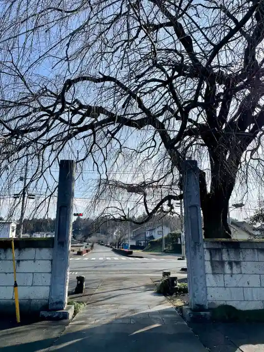 台林寺(栃木県)