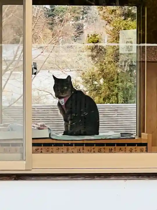 大聖寺(土浦大師不動尊)の{uncategorized: "未分類", other: "その他", undefined: "問題あり", building: "その他建物", grave: "お墓", sacred_gate: "鳥居", guardian: "狛犬", statue: "像", buddha: "仏像", history: "歴史", nature: "自然", garden: "庭園", animal: "動物", pagoda: "塔", temizu: "手水舎", mountain_gate: "山門・神門", sanctuary: "本殿・本堂", subordinate: "末社・摂社", art: "芸術", scenery: "景色", jizo: "地蔵", ema: "絵馬", goshuin: "御朱印", omikuji: "おみくじ", items: "授与品その他", amulet: "お守り", goshuincho: "御朱印帳", eats: "食事", festival: "お祭り", votive_dance: "神楽", shichigosan: "七五三参", wedding: "結婚式", experience: "体験その他", initially: "初詣", around: "周辺", anti_infection: "感染症対策"}