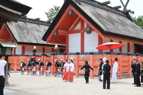 住吉大社(大阪府)