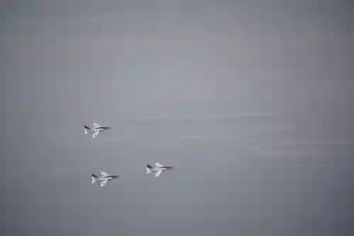 防府天満宮(山口県)