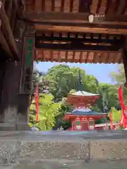 慈尊院の建物その他