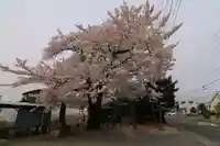 中野稲荷神社の庭園