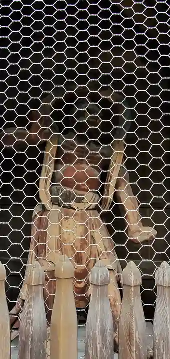 高幡不動尊 金剛寺の像