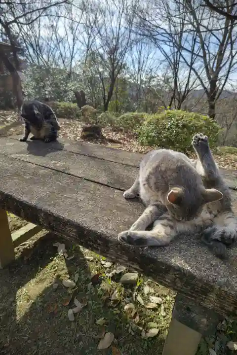 玉野御嶽神社の動物