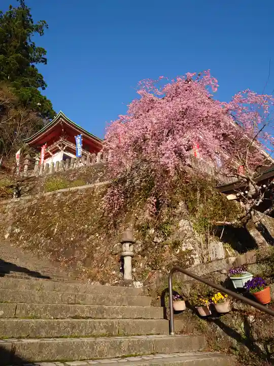 熊野那智大社の周辺