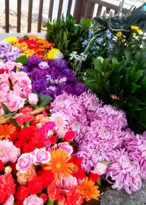 豊平神社の手水舎