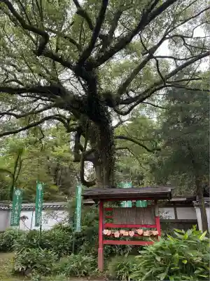 賀茂神社(愛知県)