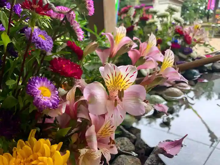 滑川神社 - 仕事と子どもの守り神の手水舎