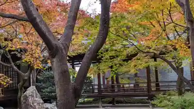 建仁寺（建仁禅寺）(京都府)