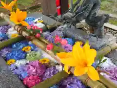 今市報徳二宮神社(栃木県)