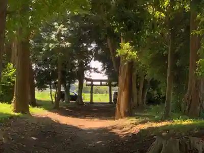 八幡神社(千葉県)