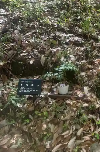 狭井坐大神荒魂神社(狭井神社)(奈良県)