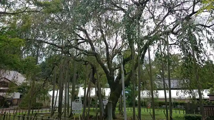 足羽神社の庭園