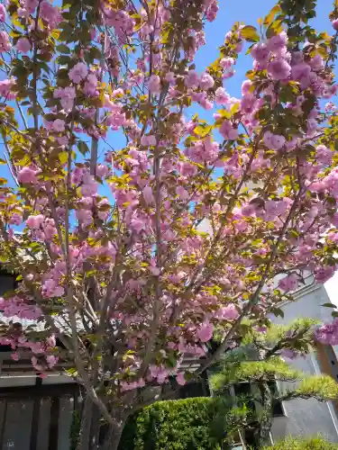 乗禅寺の{uncategorized: "未分類", other: "その他", undefined: "問題あり", building: "その他建物", grave: "お墓", sacred_gate: "鳥居", guardian: "狛犬", statue: "像", buddha: "仏像", history: "歴史", nature: "自然", garden: "庭園", animal: "動物", pagoda: "塔", temizu: "手水舎", mountain_gate: "山門・神門", sanctuary: "本殿・本堂", subordinate: "末社・摂社", art: "芸術", scenery: "景色", jizo: "地蔵", ema: "絵馬", goshuin: "御朱印", omikuji: "おみくじ", items: "授与品その他", amulet: "お守り", goshuincho: "御朱印帳", eats: "食事", festival: "お祭り", votive_dance: "神楽", shichigosan: "七五三参", wedding: "結婚式", experience: "体験その他", initially: "初詣", around: "周辺", anti_infection: "感染症対策"}
