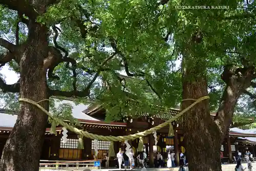 明治神宮(東京都)