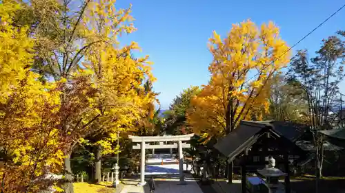 住吉神社の鳥居