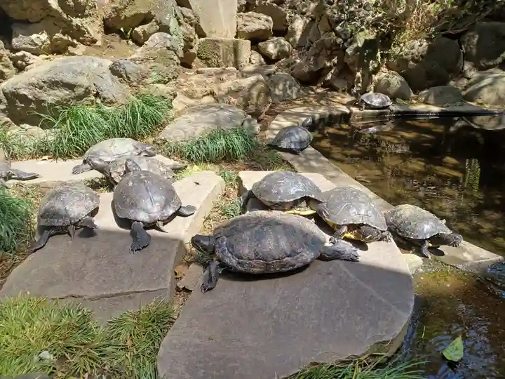 成田山川越別院(埼玉県)