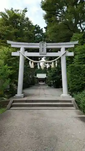 星川杉山神社の鳥居