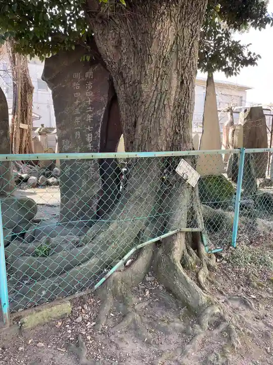 円通寺(東京都)