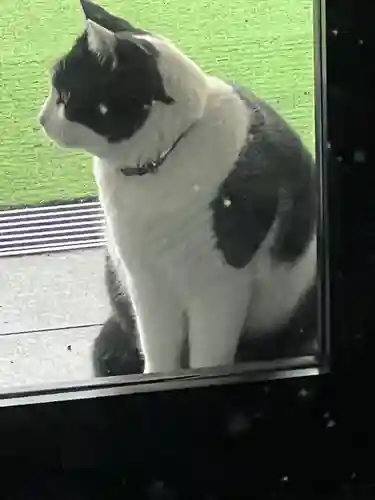 榛名神社(群馬県)