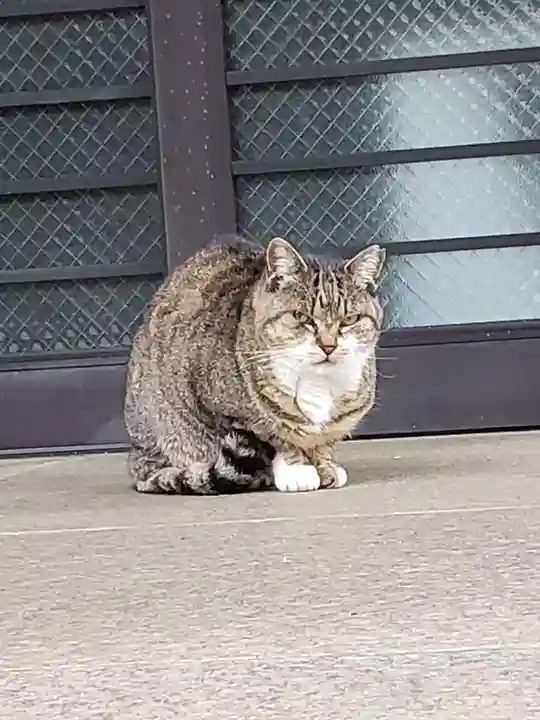 白金氷川神社(東京都)