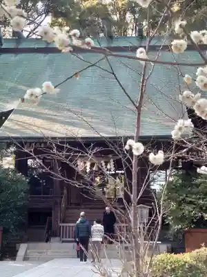 報徳二宮神社(神奈川県)