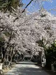 冨士御室浅間神社の自然
