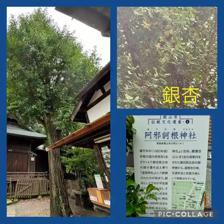 阿邪訶根神社(福島県)
