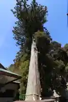 日牟禮八幡宮(滋賀県)