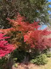 赤城神社(群馬県)