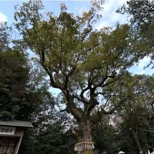 熱田神宮の{uncategorized: "未分類", other: "その他", undefined: "問題あり", building: "その他建物", grave: "お墓", sacred_gate: "鳥居", guardian: "狛犬", statue: "像", buddha: "仏像", history: "歴史", nature: "自然", garden: "庭園", animal: "動物", pagoda: "塔", temizu: "手水舎", mountain_gate: "山門・神門", sanctuary: "本殿・本堂", subordinate: "末社・摂社", art: "芸術", scenery: "景色", jizo: "地蔵", ema: "絵馬", goshuin: "御朱印", omikuji: "おみくじ", items: "授与品その他", amulet: "お守り", goshuincho: "御朱印帳", eats: "食事", festival: "お祭り", votive_dance: "神楽", shichigosan: "七五三参", wedding: "結婚式", experience: "体験その他", initially: "初詣", around: "周辺", anti_infection: "感染症対策"}